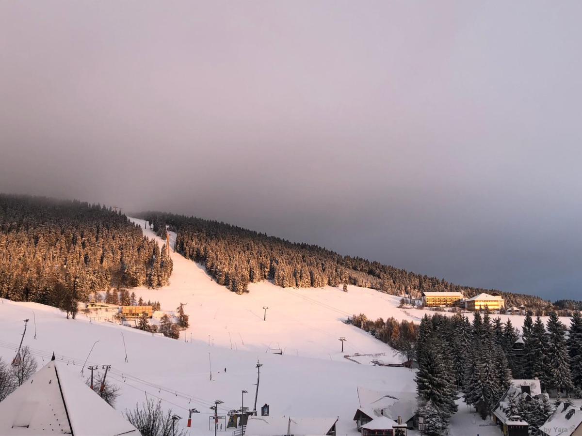 Chalet & Apart Fichtelberger Blick Appartement Oberwiesenthal Buitenkant foto